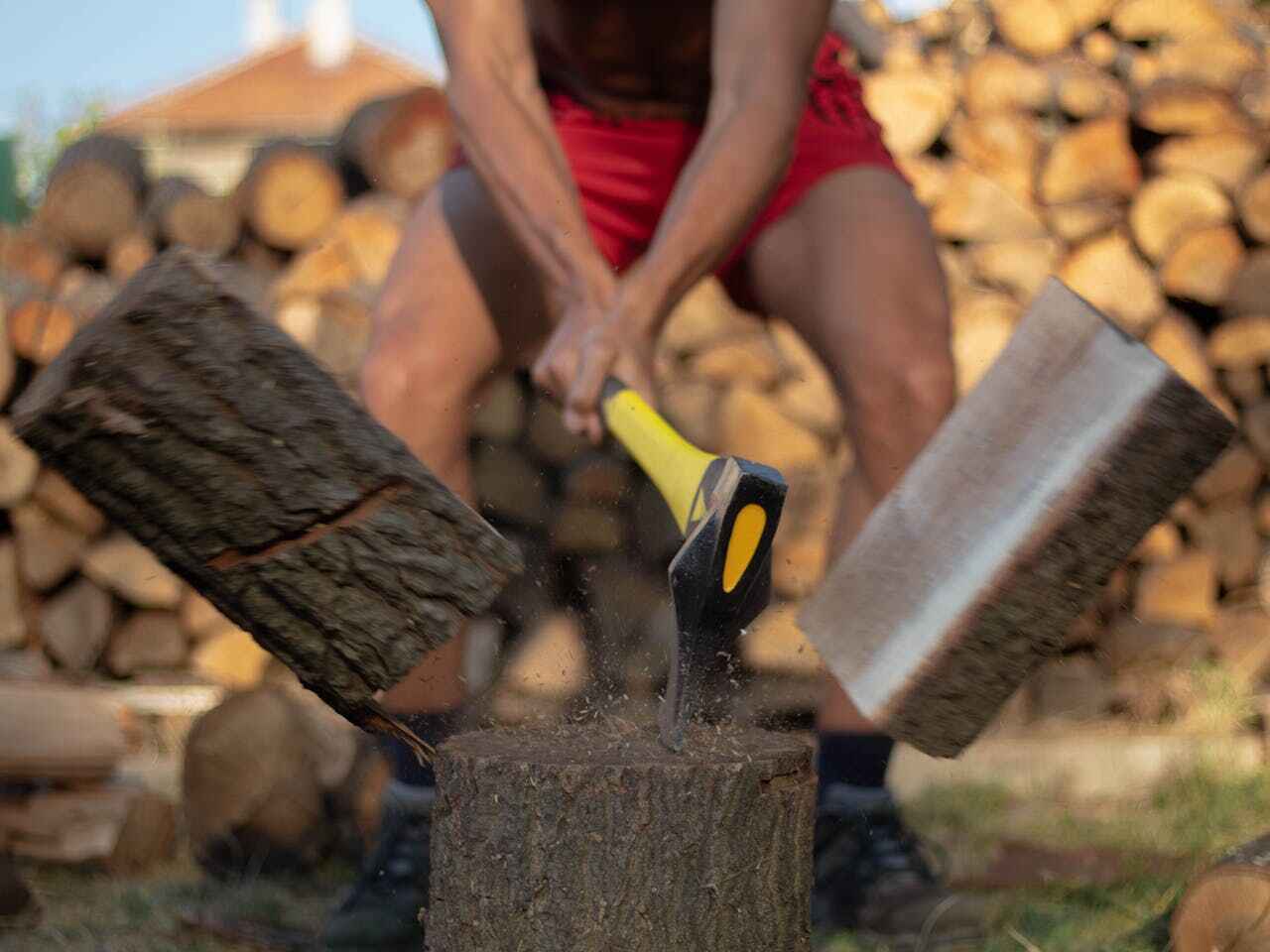 Tree Branch Trimming in Advance, MO